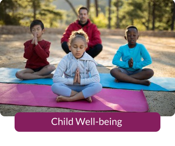 Button link to resources for Child Well-being.