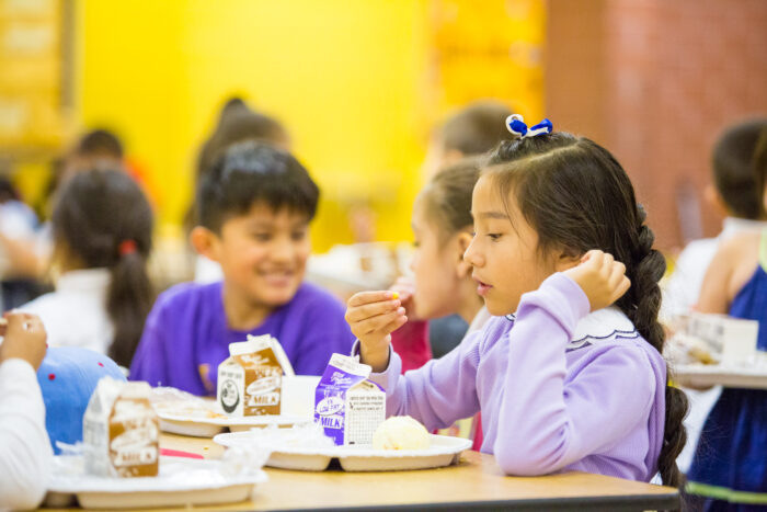 Children eating a meal at school