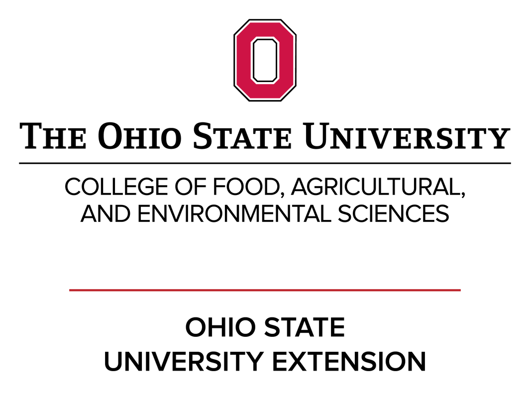 Partners Ohio's Statewide Family Engagement Center